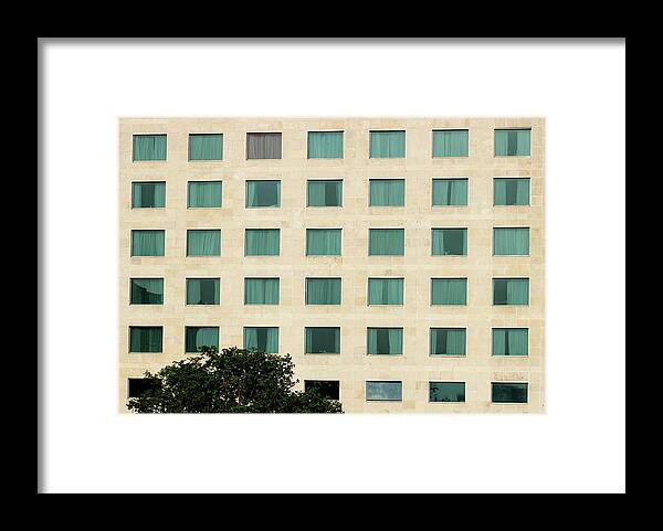 Minimal Framed Print featuring the photograph Windows and the Tree by Prakash Ghai