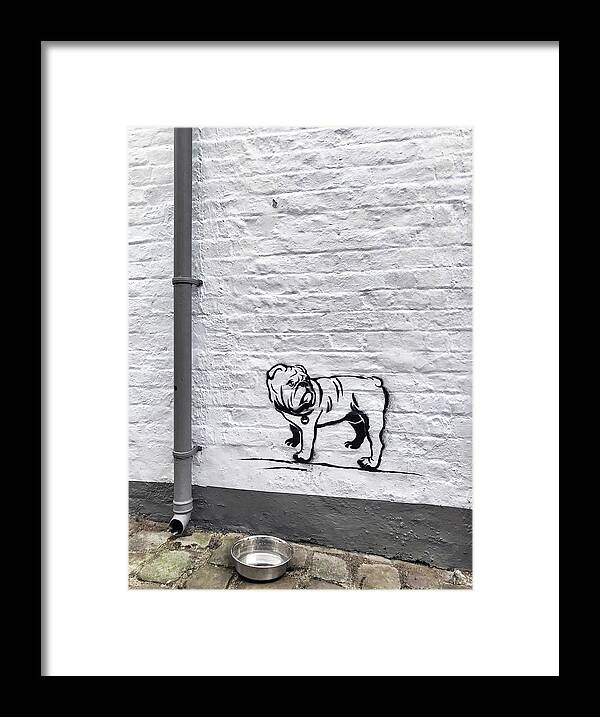 Dog Pug Bulldog Wall Windsor Bowl Alley Framed Print featuring the photograph Windsor wall art by Nora Martinez