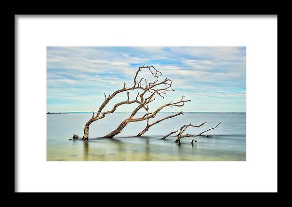 Sandy Hook Framed Print featuring the photograph Windswept Branches On Sandy Hook Bay by Gary Slawsky