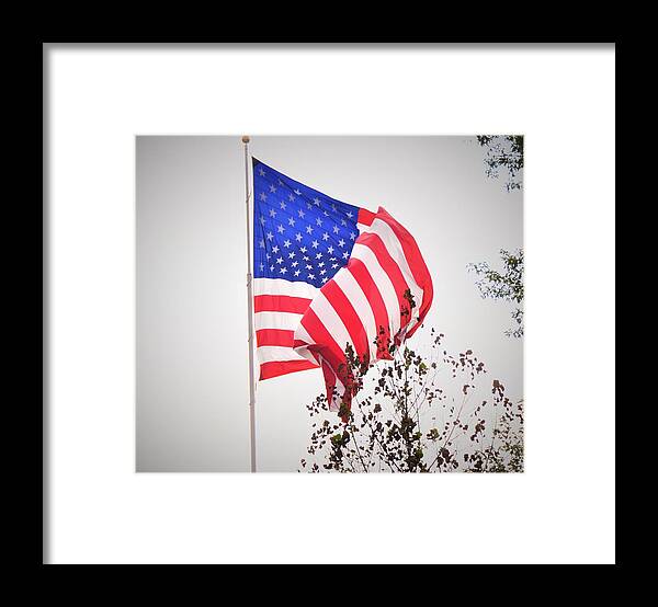 Flag Flying Framed Print featuring the photograph Long may it wave by Chuck Brown