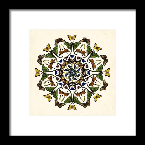 Mandala Framed Print featuring the digital art Winged Kaleidoscope by Deborah Smith