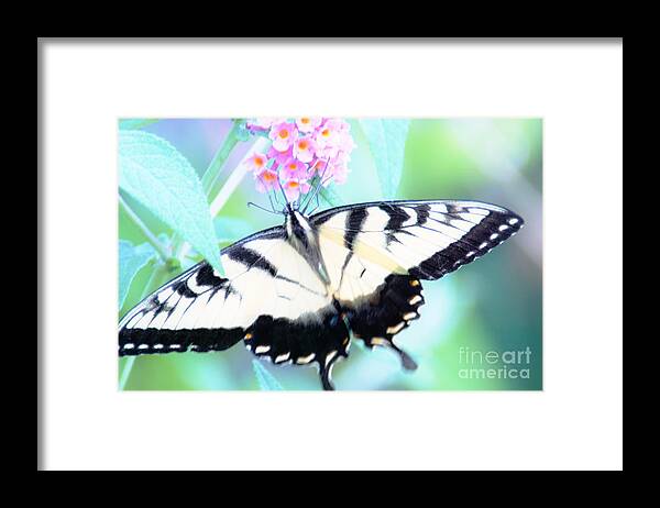 Butterfly Framed Print featuring the photograph Wings by Merle Grenz