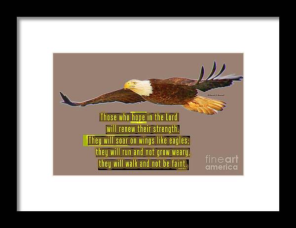 Bald Eagle Framed Print featuring the photograph Wings of Eagles by David Arment