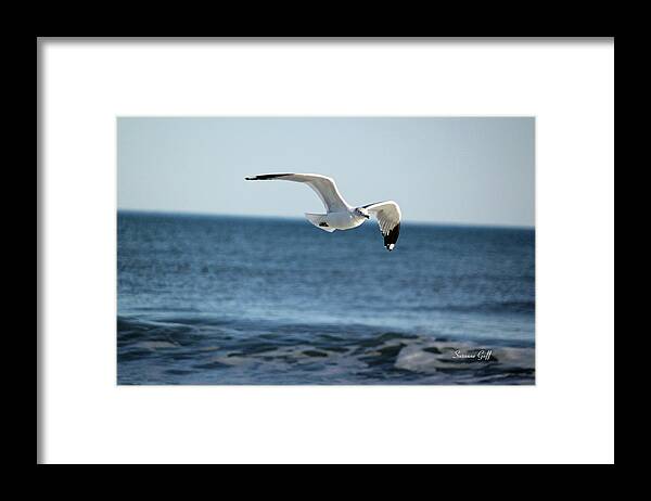 Seagull Framed Print featuring the photograph Wings Over the Water by Suzanne Gaff