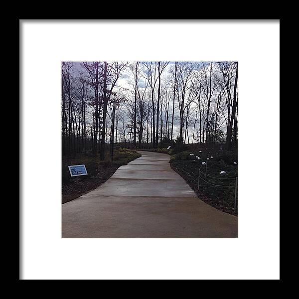  Framed Print featuring the photograph Winter At The Gardens by Daniel Eskridge