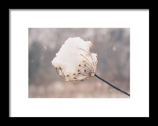 Nature Framed Print featuring the photograph Winter Beauty by Viviana Nadowski