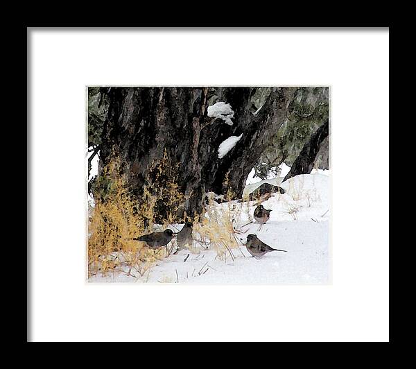 Small Birds Framed Print featuring the photograph Winter Birds by Feather Redfox