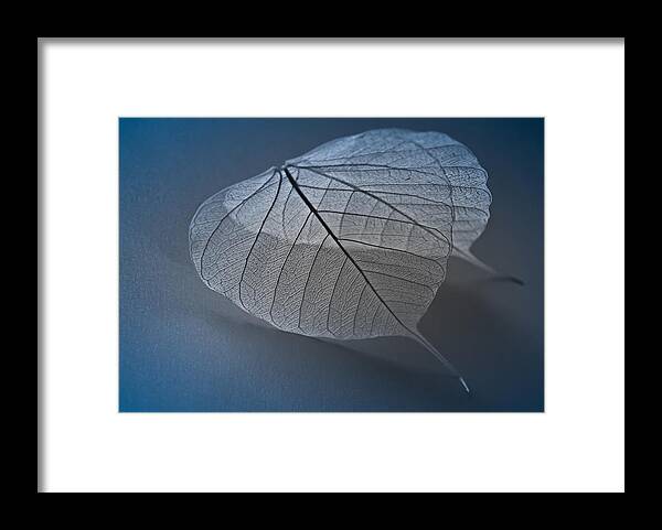 Winter Framed Print featuring the photograph Winter Blues by Maggie Terlecki