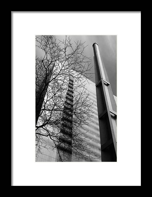 Architecture Framed Print featuring the photograph Winter Branches Against The Cold by Kreddible Trout