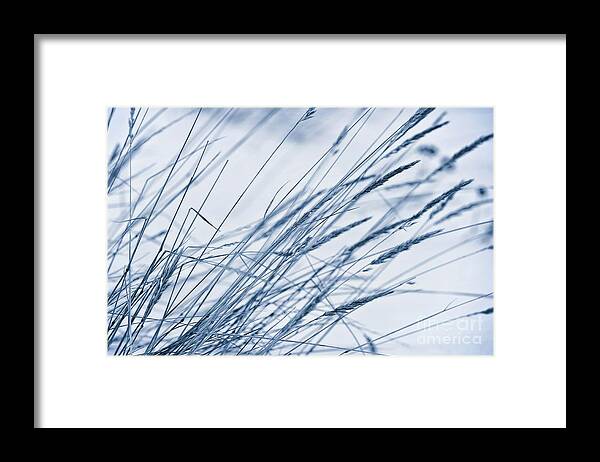 Breeze Framed Print featuring the photograph Winter Breeze by Priska Wettstein
