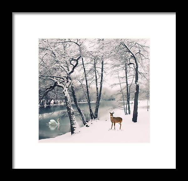 Winter Framed Print featuring the photograph Winter Calls by Jessica Jenney