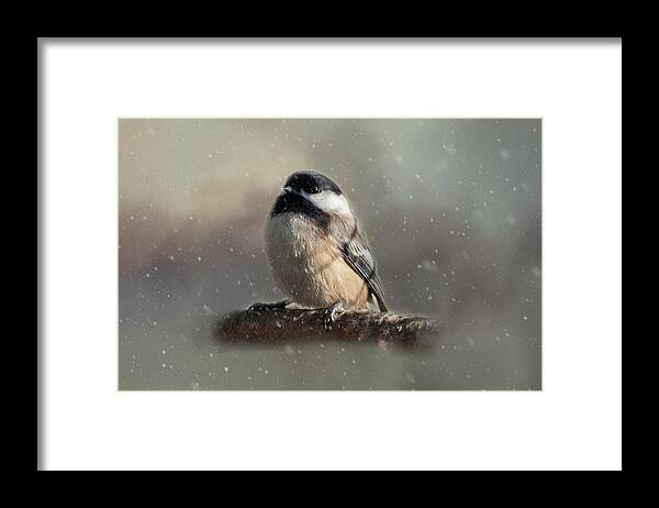 Song Bird Framed Print featuring the photograph Winter Chicadee by Cathy Kovarik