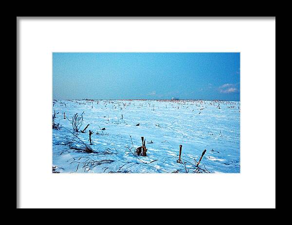 Photograph Framed Print featuring the photograph Winter Cornfield by Steven Barrett