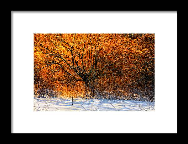 Winter Landscape Framed Print featuring the photograph Winter Fire by Irwin Barrett