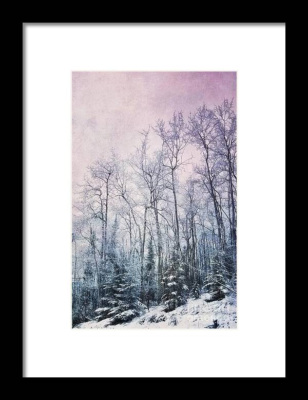 Forest Framed Print featuring the photograph Winter Forest by Priska Wettstein