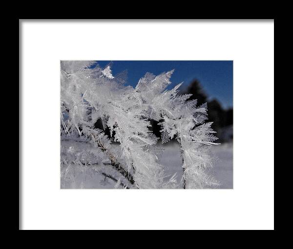 Winter Framed Print featuring the photograph Winter Frost 6 by Scott Hovind