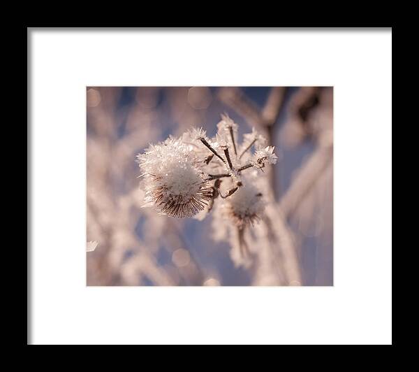 Frost Framed Print featuring the photograph Winter Frost by Miguel Winterpacht