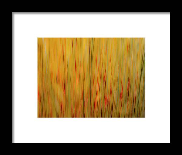 Abstract Framed Print featuring the photograph Winter Grasses #1 by Tom Vaughan
