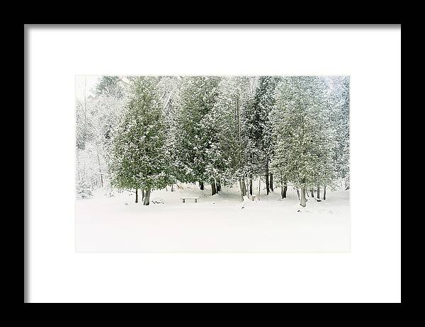 Winter Ice Storm Print Framed Print featuring the photograph Winter Ice Storm Print by Gwen Gibson