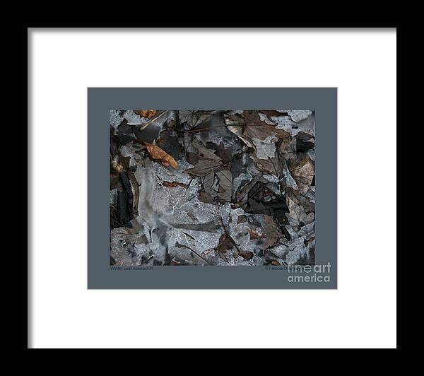 Abstract Framed Print featuring the photograph Winter Leaf Abstract-III by Patricia Overmoyer