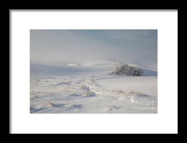 Idaho Framed Print featuring the photograph Winter Light on the Palouse by Idaho Scenic Images Linda Lantzy