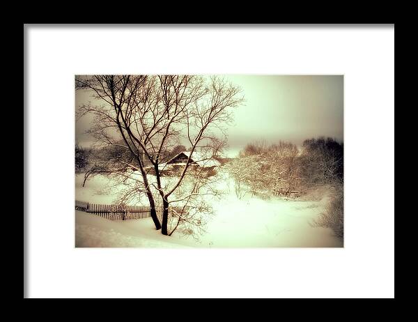 Winter Framed Print featuring the photograph Winter Loneliness by Jenny Rainbow