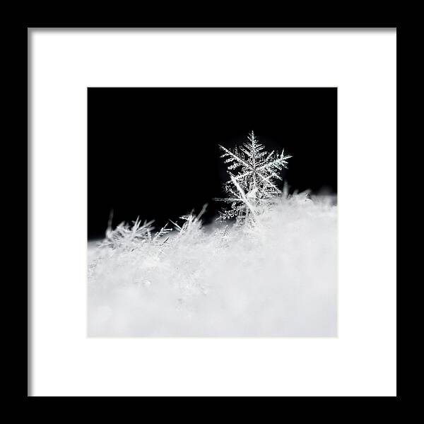Snowflake Framed Print featuring the photograph Winter Magic by Penny Meyers