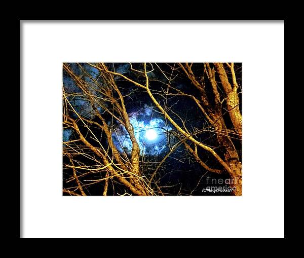 Photograph Framed Print featuring the photograph Winter Night Sky by MaryLee Parker