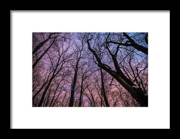 Winter Framed Print featuring the photograph Winter Sky by Kristopher Schoenleber