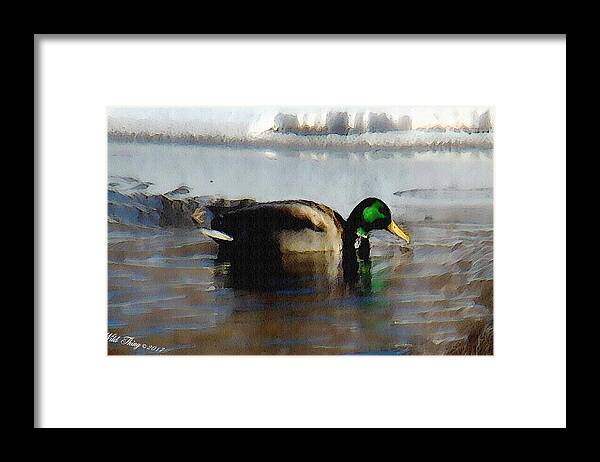 Digital Art Framed Print featuring the photograph Winter Snacking by Wild Thing