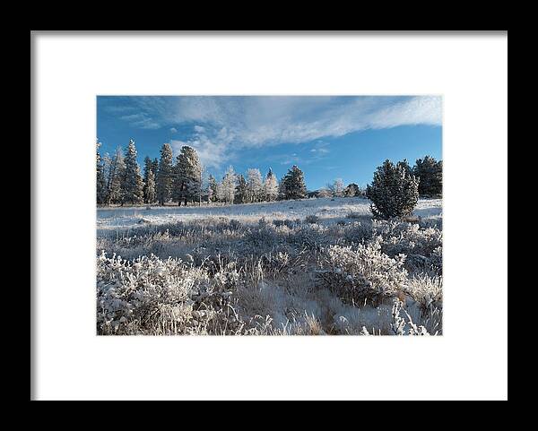 Kenosha Pass Framed Print featuring the photograph Winter Snow at Kenosha Pass by Cascade Colors