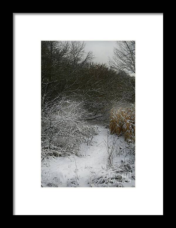 Winter Framed Print featuring the photograph Winter Stew by Jan Piller