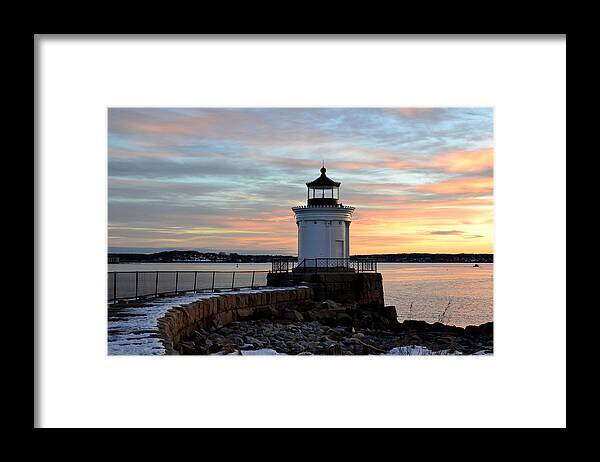 Winter Framed Print featuring the photograph Bug Light by Colleen Phaedra