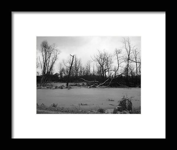Swamp Framed Print featuring the photograph Winter Swamp by Michelle Miron-Rebbe