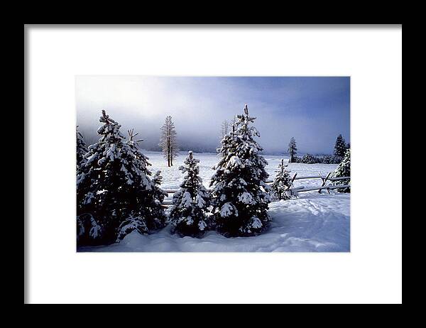 The Walkers Framed Print featuring the photograph Winter Takes All by The Walkers