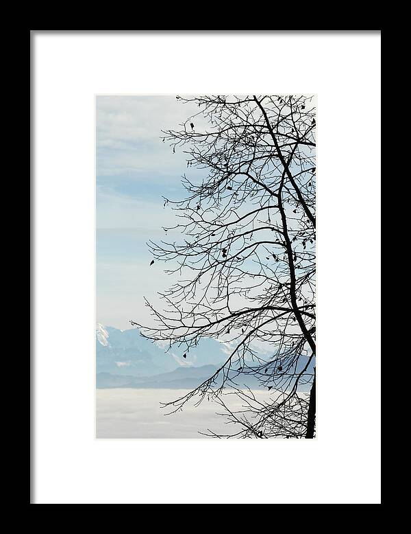 Alpine Framed Print featuring the photograph Winter tree and Alps mountains upon the fog by Elenarts - Elena Duvernay photo