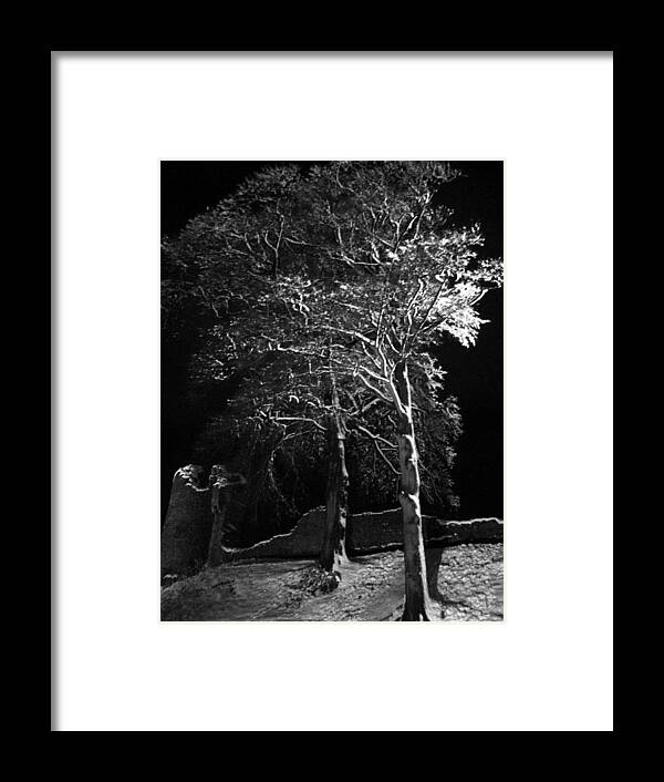 Winter Framed Print featuring the photograph Winter tree at night by Lukasz Ryszka