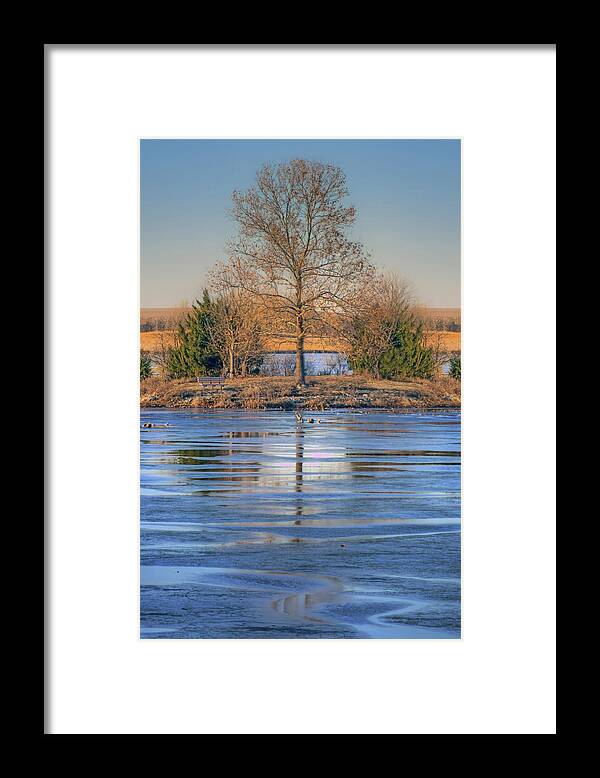 Lone Tree Framed Print featuring the photograph Winter Tree - Walnut Creek Lake by Nikolyn McDonald