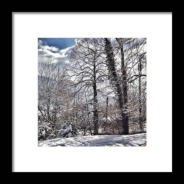 Mountains Framed Print featuring the photograph Winter Trees by Zoe Calvert