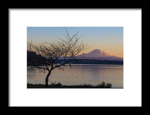 Mount Rainier Framed Print featuring the photograph Winter Views of Mount Rainier by Matt McDonald