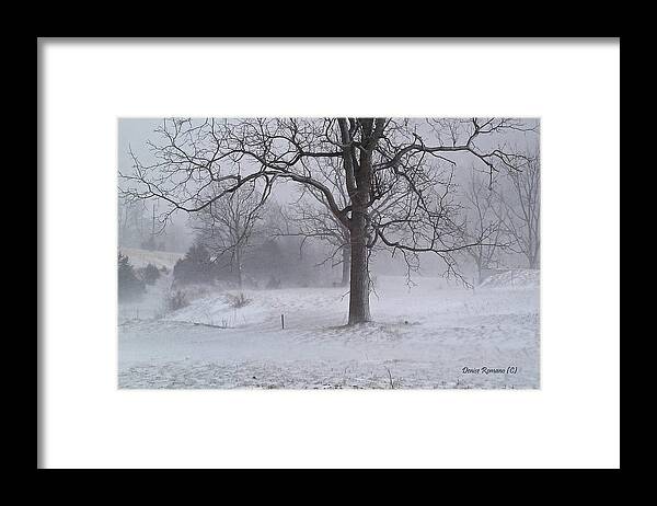 Walnut Framed Print featuring the photograph Winter Walnut by Denise Romano