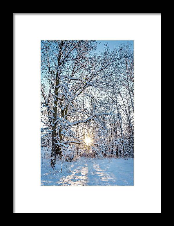 Bill Pevlor Framed Print featuring the photograph Winter Warm Spot by Bill Pevlor