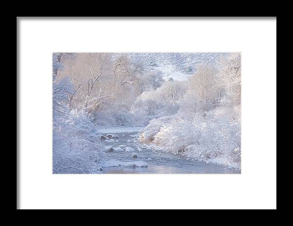 Winter Framed Print featuring the photograph Winter Wonderland - Colorado by Darren White