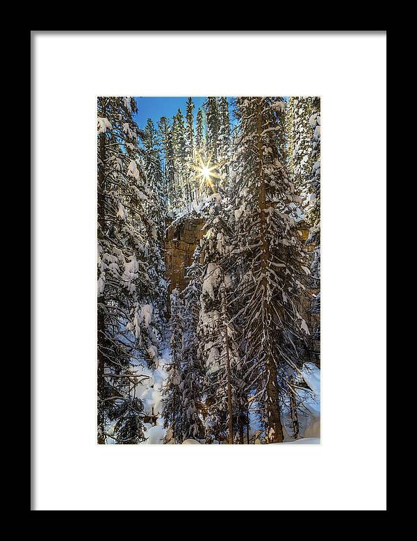 Snow Framed Print featuring the photograph Winter Wonderland by Jen Manganello