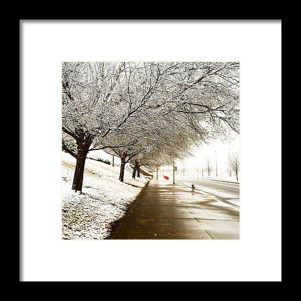 Photography Framed Print featuring the photograph Winter Wonderland by Michael Dean Shelton