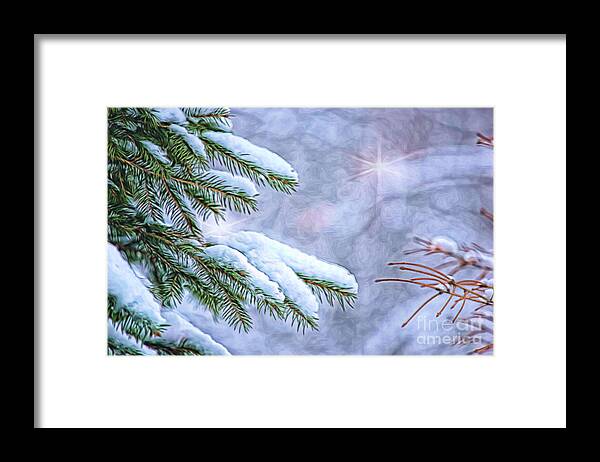 Nature Framed Print featuring the photograph Winter Wonderland by Sharon McConnell