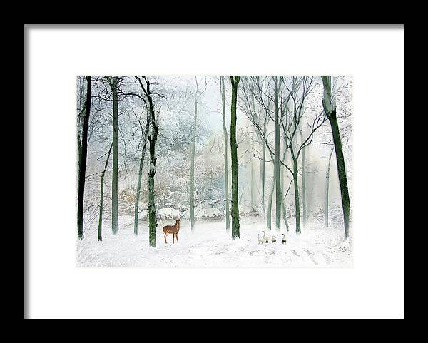 Winter Framed Print featuring the photograph Winter Woodland by Jessica Jenney