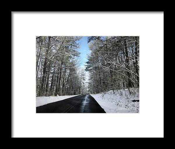 Trees Framed Print featuring the photograph Winter Woods by Kerri Farley