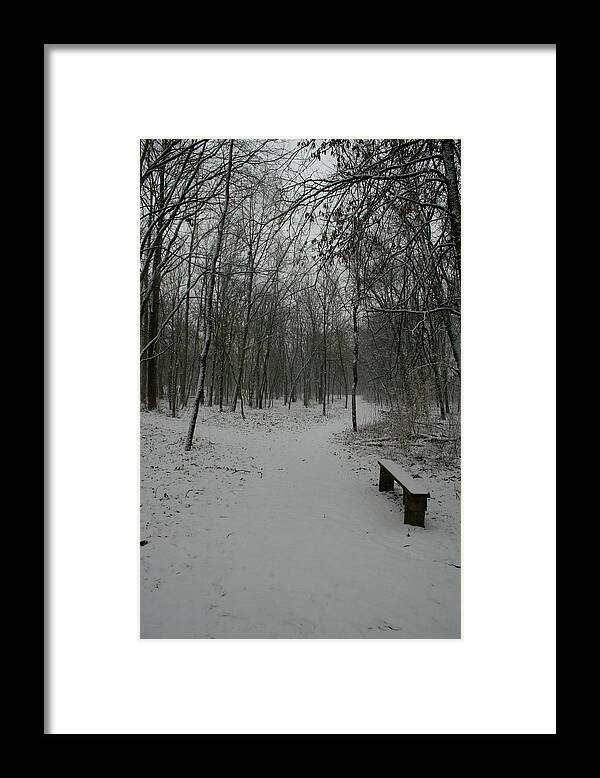 Snow Framed Print featuring the photograph Winter Y by Dylan Punke