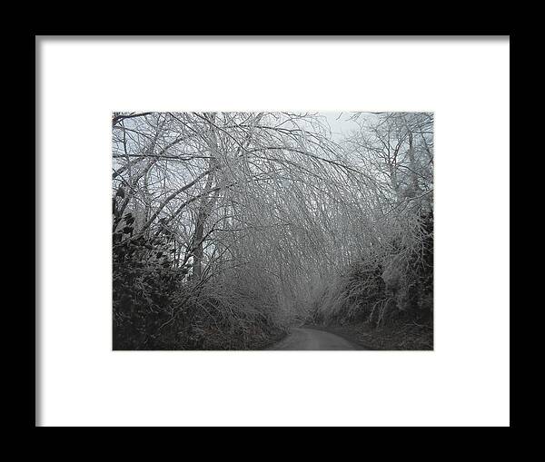 Winter Framed Print featuring the photograph Winter's Road Block by Diannah Lynch